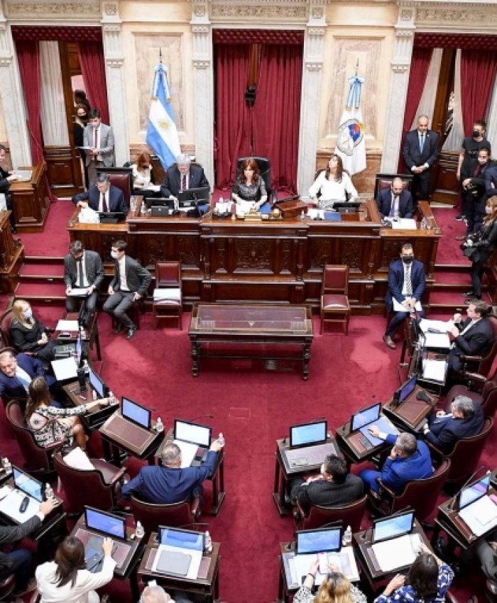El Senado dio media sanción a la creación de un fondo para pagarle al FMI con dinero fugado al exterior