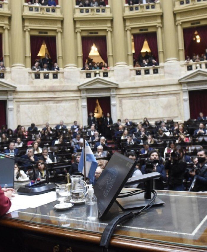 Foto: Prensa Diputados - Archivo.