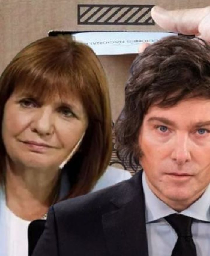 En cuanto a economista: ¿Milei se divierte o cuenta los porotos? 