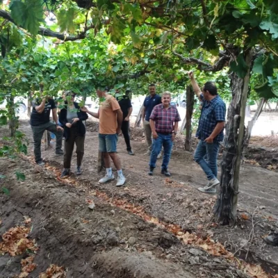 San Juan fortalece su producción con la creación de la Mesa de Viveros Vitícolas