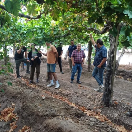 San Juan fortalece su producción con la creación de la Mesa de Viveros Vitícolas