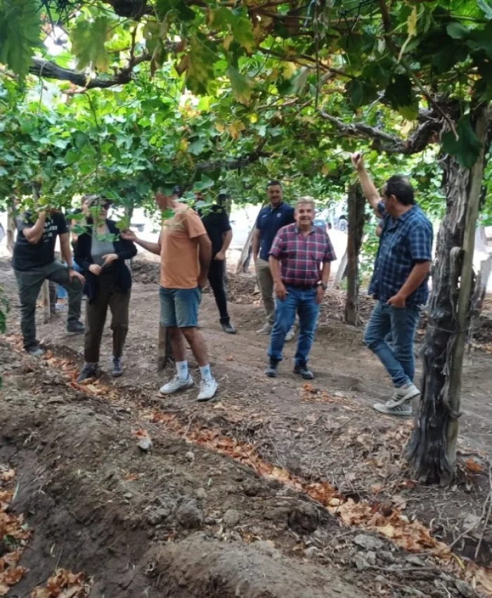 San Juan fortalece su producción con la creación de la Mesa de Viveros Vitícolas