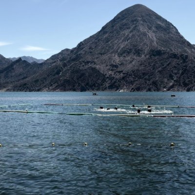 El dique Punta Negra será escenario de un inédito torneo de Waterpolo