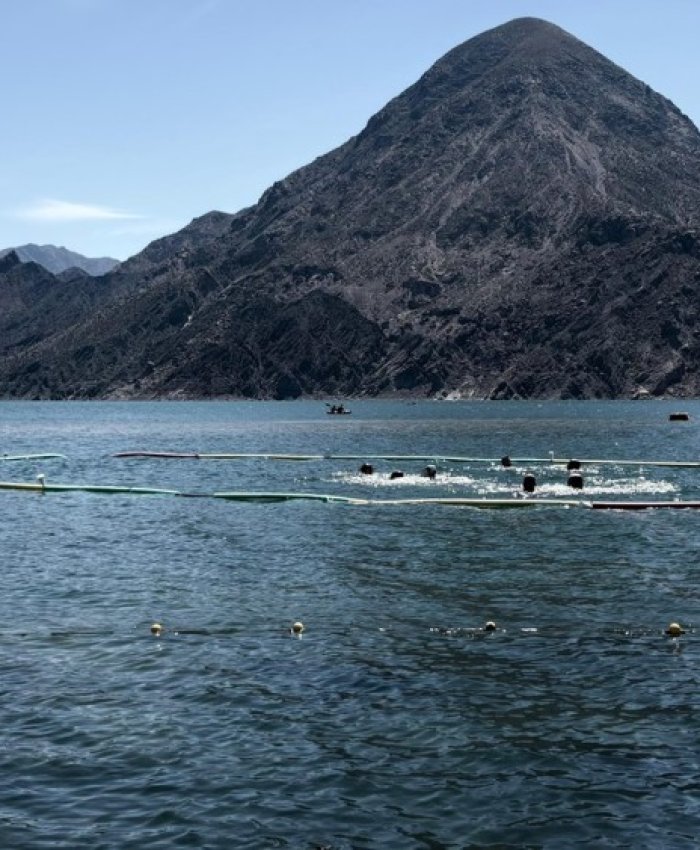 El dique Punta Negra será escenario de un inédito torneo de Waterpolo