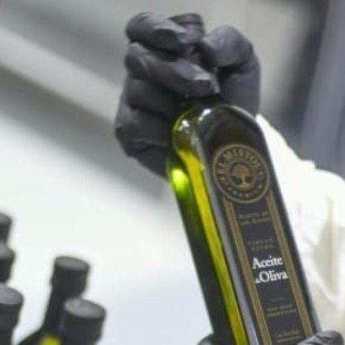 San Juan se consolida como región olivícola líder de Argentina