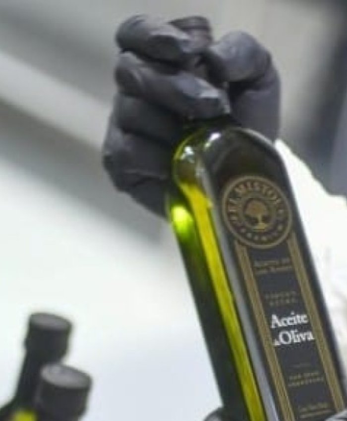 San Juan se consolida como región olivícola líder de Argentina