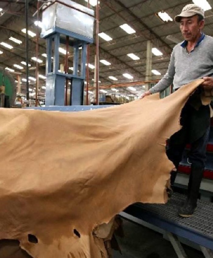 Crisis en el sector: Cierran 50 fábricas de marroquinería y surgen casi 300 nuevos importadores
