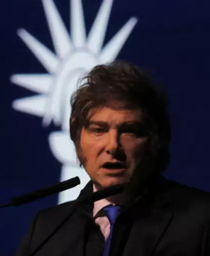 La justicia declaró inconstitucional el decreto de Javier Milei que vetó la Ley de Emergencia en Discapacidad