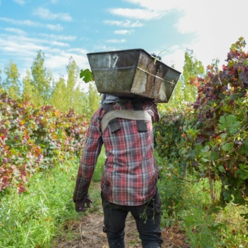 Orrego lanzó un plan de $11.000 millones para financiar la cosecha y elaboración de sectores agroindustriales