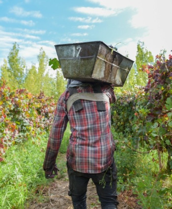 Orrego lanzó un plan de $11.000 millones para financiar la cosecha y elaboración de sectores agroindustriales