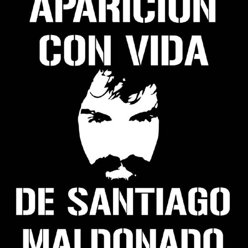 Tras la renuncia de Gils Carbó, apartaron a la Procuvin del caso Maldonado