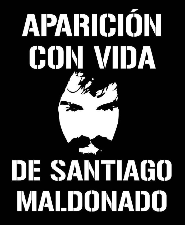 Tras la renuncia de Gils Carbó, apartaron a la Procuvin del caso Maldonado