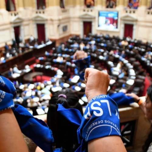 El Senado aprobó la ley de Lengua de Señas