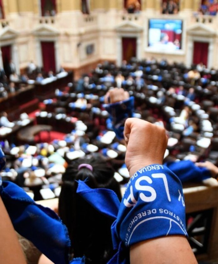 El Senado aprobó la ley de Lengua de Señas