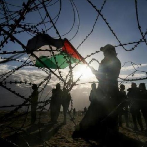 Israel rocía sustancias toxicas sobre tierras de cultivo en Gaza