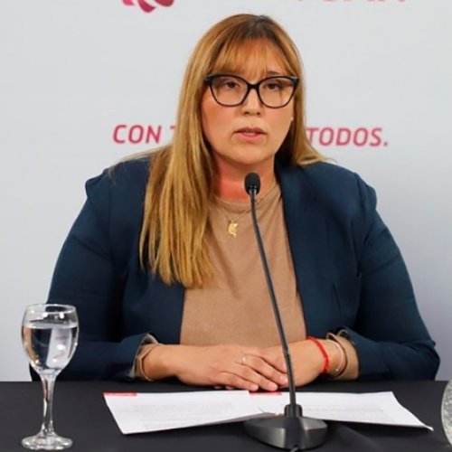 La Ministra Venerando expuso en la Legislatura sobre el Covid-19