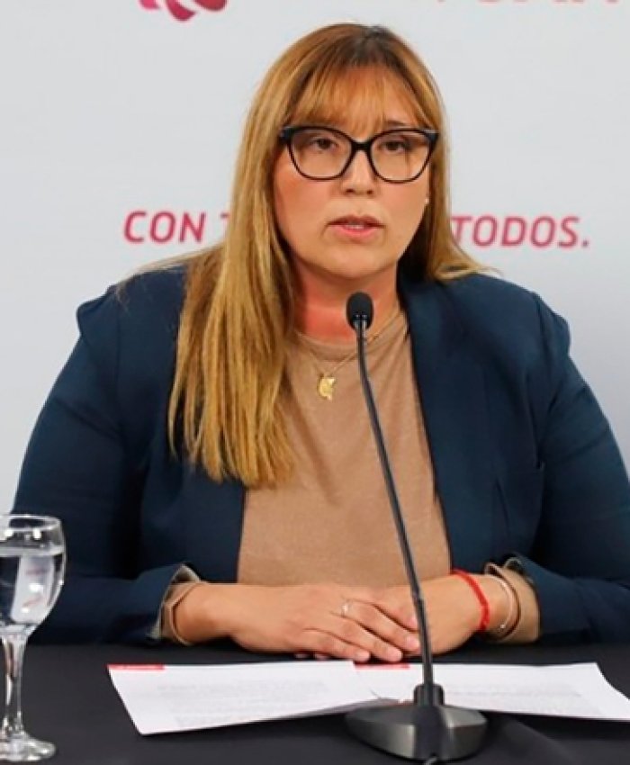 La Ministra Venerando expuso en la Legislatura sobre el Covid-19