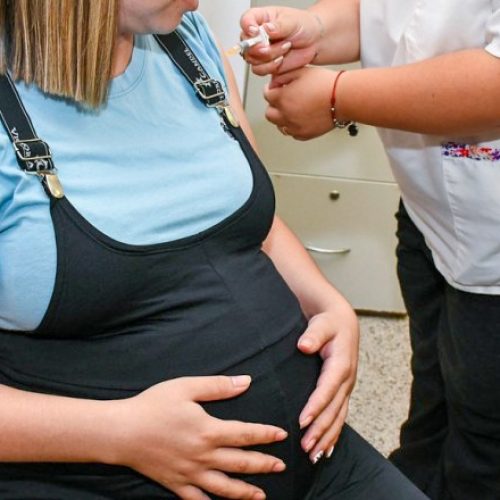 Unas 700 embarazadas ya recibieron la vacuna contra el virus sincicial