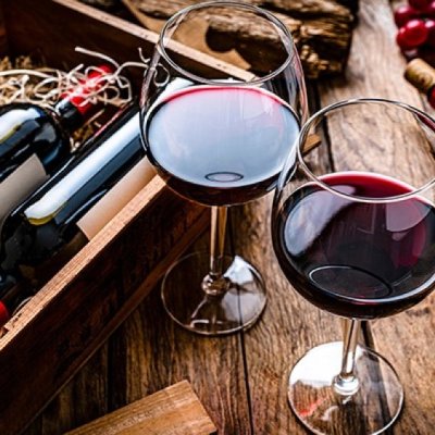 Crece el interés de los vinos sanjuaninos en Gran Bretaña