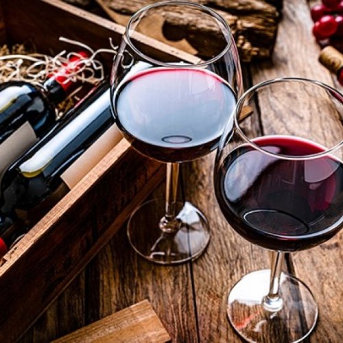 Crece el interés de los vinos sanjuaninos en Gran Bretaña