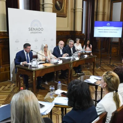 Orrego cerró el Plenario de Comisiones del Senado que analiza aclaraciones a la Ley de Glaciares