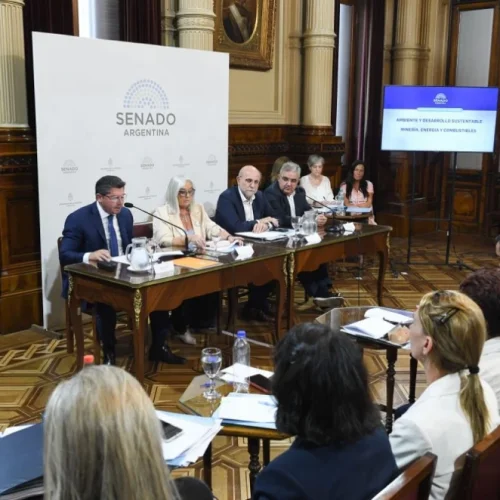 Orrego cerró el Plenario de Comisiones del Senado que analiza aclaraciones a la Ley de Glaciares