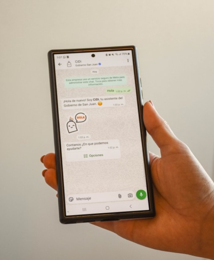 Las multas de tránsito pueden consultarse y pagarse de forma online