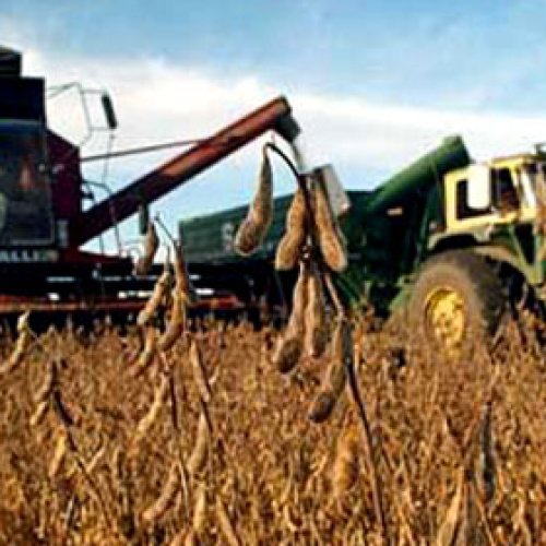 Buryaile: La Argentina alcanzará este año la mayor cosecha de la historia, con 137 millones de toneladas de granos