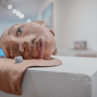 El Museo Franklin Rawson inauguró el último bloque expositivo del año