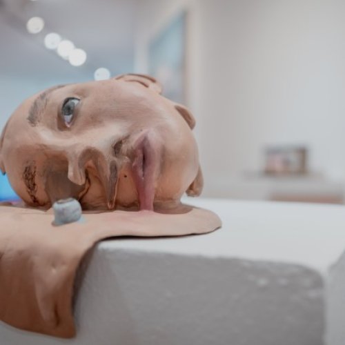 El Museo Franklin Rawson inauguró el último bloque expositivo del año