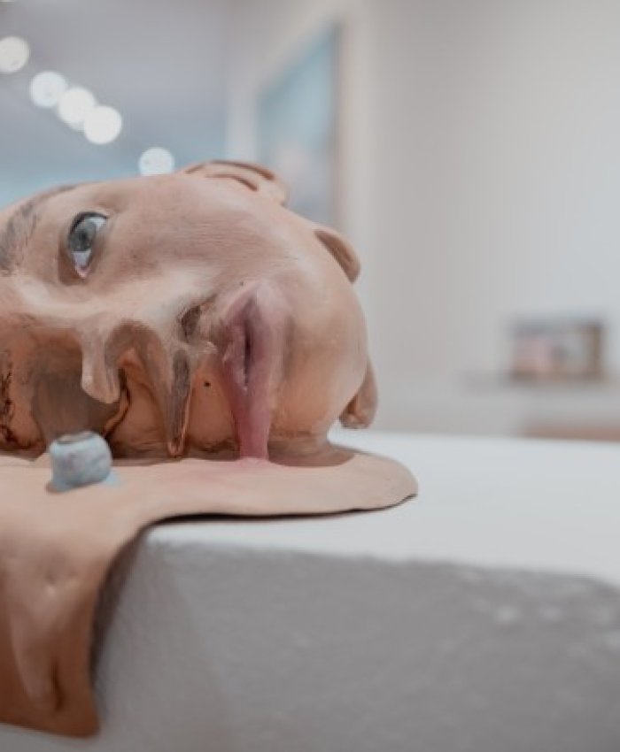 El Museo Franklin Rawson inauguró el último bloque expositivo del año