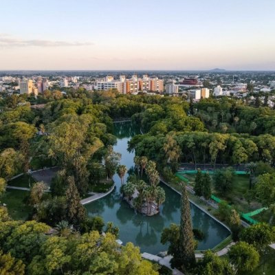 Ambiente abre la convocatoria 2025 del Programa de Forestación Provincial