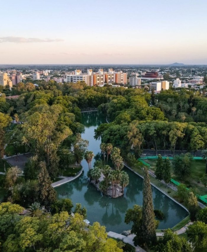 Ambiente abre la convocatoria 2025 del Programa de Forestación Provincial