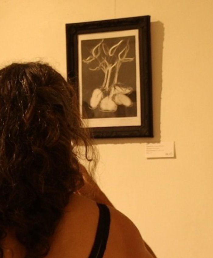 La serigrafía inaugura el Ciclo de Exhibiciones en el Chalet Cantoni