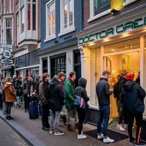 «Hay que pasar el invierno»: en Holanda las compras de pánico son de marihuana no de papel higiénico o alcohol en gel