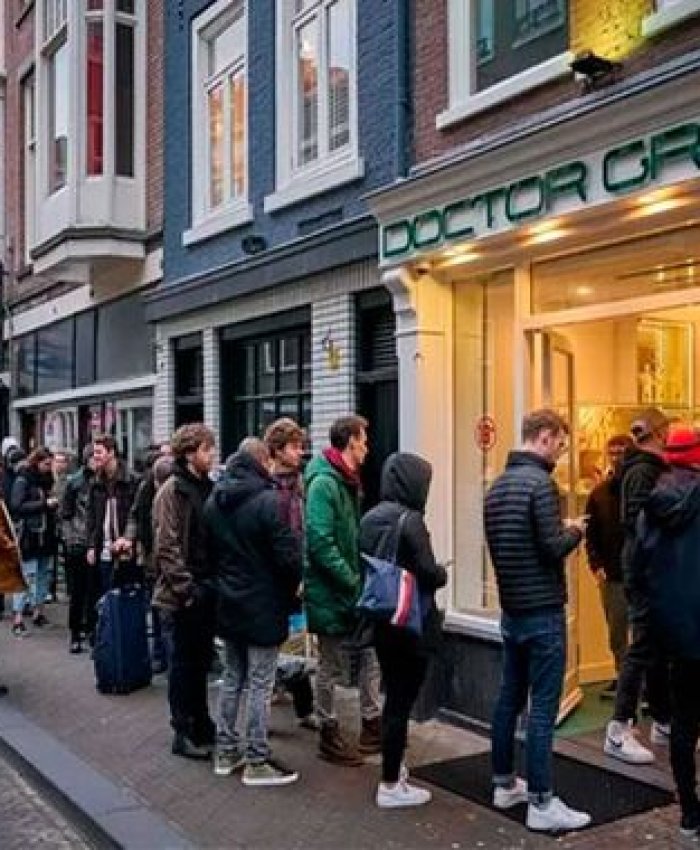 «Hay que pasar el invierno»: en Holanda las compras de pánico son de marihuana no de papel higiénico o alcohol en gel