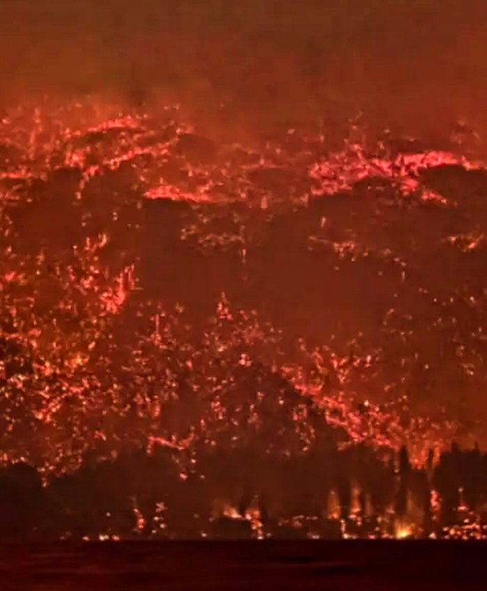 Arde Chubut y Milei apaga los fondos: denuncian que el ajuste pone en riesgo vidas y bosques