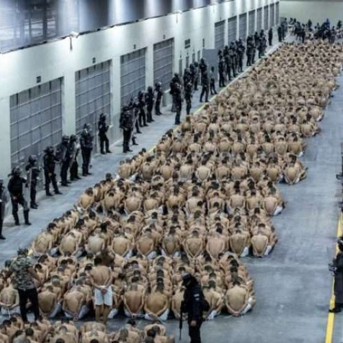 Personas detenidas en el Centro de Confinamiento del Terroristas (Cecot) en El Salvador. Foto Archivo / Oficina presidencial salvadoreña / AP