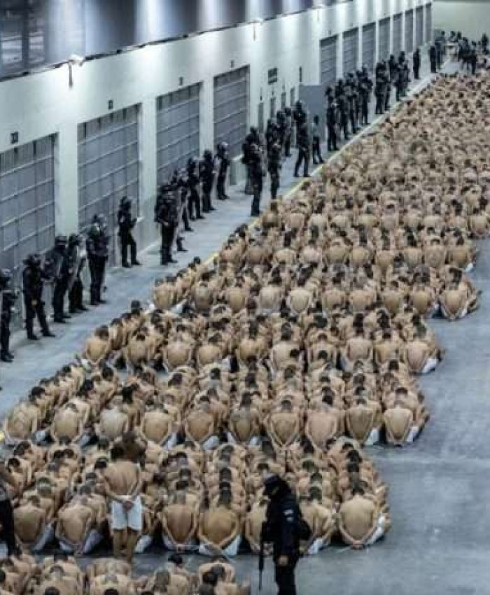 Personas detenidas en el Centro de Confinamiento del Terroristas (Cecot) en El Salvador. Foto Archivo / Oficina presidencial salvadoreña / AP