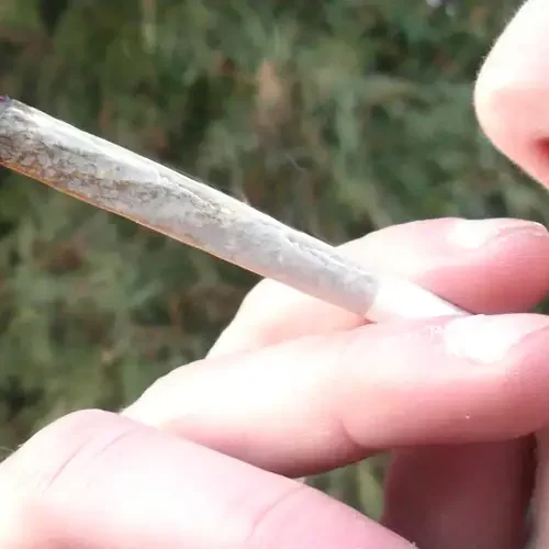 EL OFICIALISMO PRESENTO UN PROYECTO PARA LA DESPENALIZACIÓN DEL CONSUMO DE DROGAS