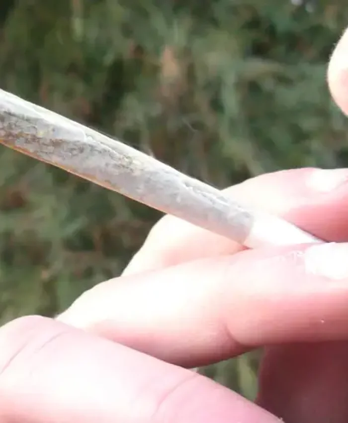 EL OFICIALISMO PRESENTO UN PROYECTO PARA LA DESPENALIZACIÓN DEL CONSUMO DE DROGAS