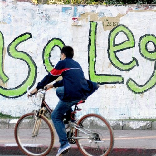 Argentina: cannabis legal, el Gobierno ya piensa un proyecto para despenalizar la tenencia y el autocultivo para uso adulto