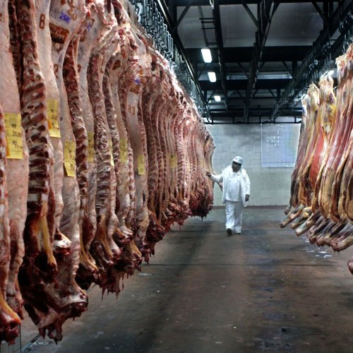 Gobierno renovó acuerdo de precios para siete cortes de carne: cuáles son y dónde conseguirlos