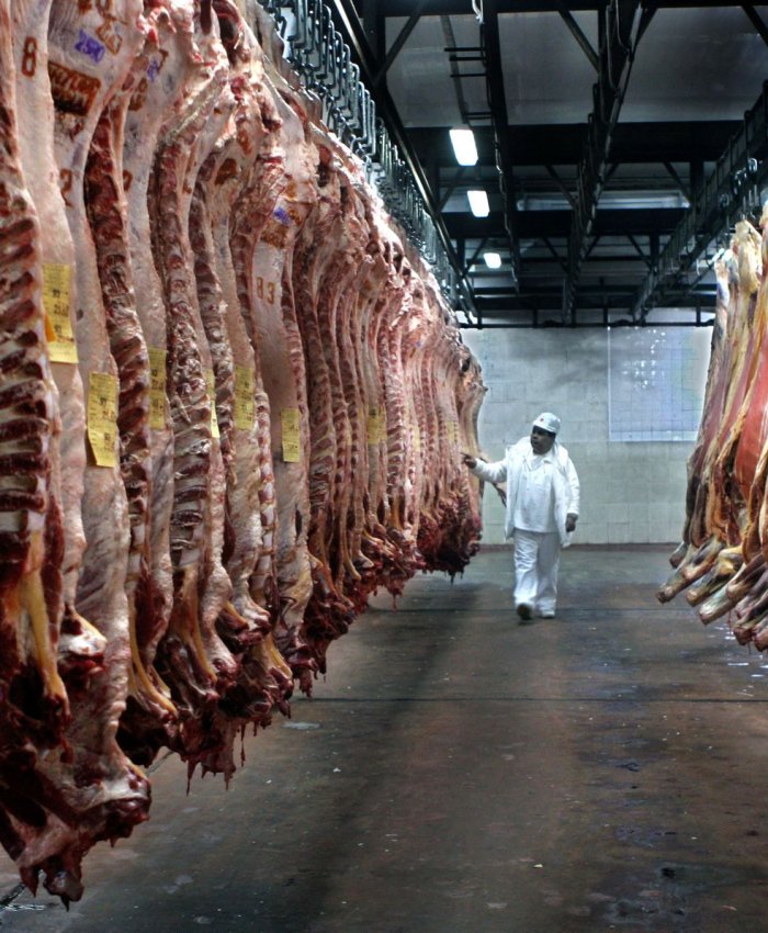 Gobierno renovó acuerdo de precios para siete cortes de carne: cuáles son y dónde conseguirlos