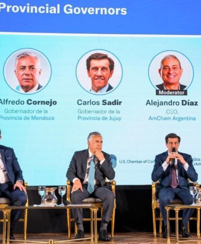 San Juan se posicionó frente a inversores extranjeros como protagonista en los minerales críticos