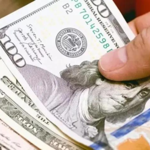 Un caldo de cultivo para la dolarización