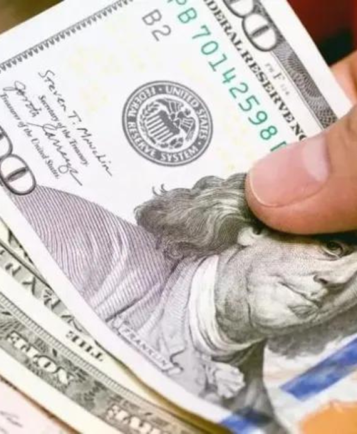 Un caldo de cultivo para la dolarización