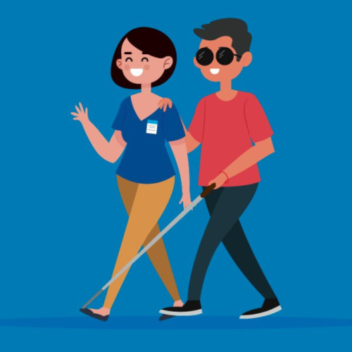 Las claves del voto asistido