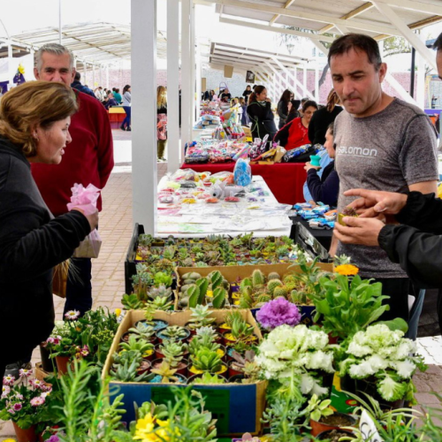 ¿Todavía no conseguiste el regalo para mamá? Acercate por la feria de emprendedores de Chimbas