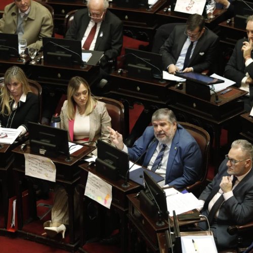 Dura derrota para Milei: por amplía mayoría el Senado rechazó el veto y reactivó la Ley de Emergencia en Discapacidad